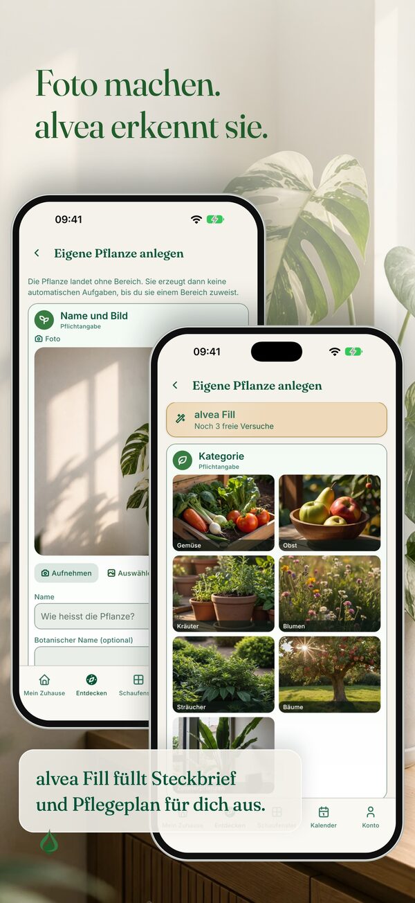 alvea erkennt eine Pflanze per Foto und legt Steckbrief und Pflegeplan an